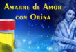 Amarre de AMOR con Orina